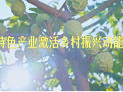 特色产业激活乡村振兴动能