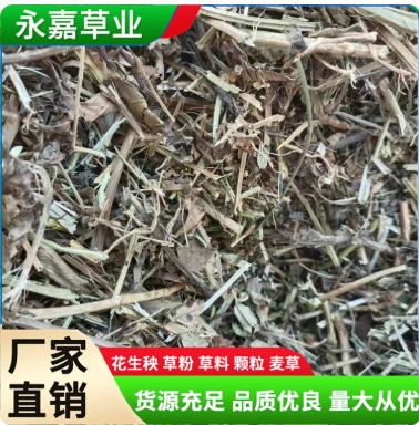 花生秧 牛羊养殖植物性饲料 无霉变无尘土 永嘉草业