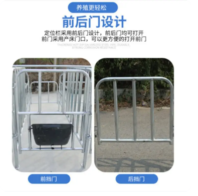 养殖设备养猪场育肥舍圈栏 母猪限位栏