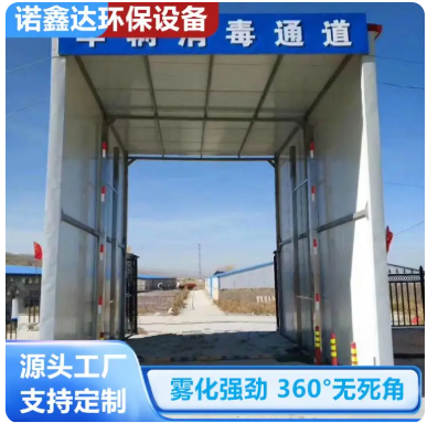 动物防疫站车辆通道消毒设备 定制FT消杀设备