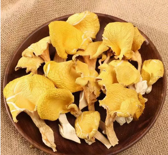 鸡油菌干货古田黄金菇 酒店家用煲汤