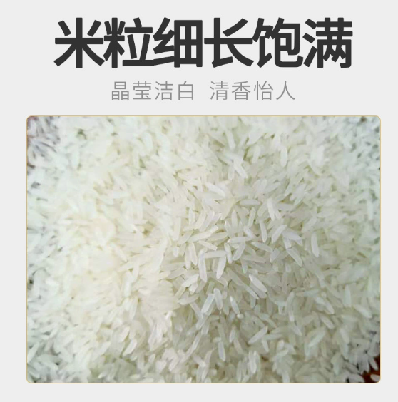 长粒猫牙米大米10斤一袋优质籼米炒饭煲仔饭用长粒香大米批发代发