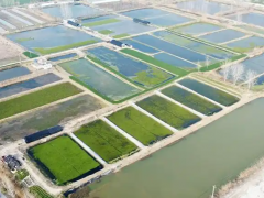 丹东外汇便利化政策显效 助力农产品出口与乡村振兴